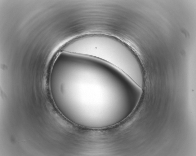 X0000091340880200708101017