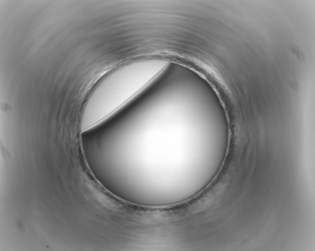 X0000091340881200708101017