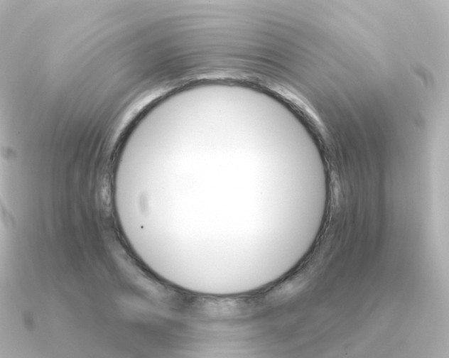 X0000091340882200708101017