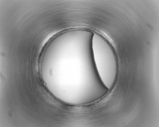 X0000091340883200708101017