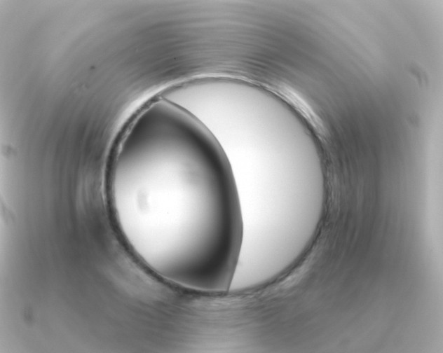 X0000091340884200708101017