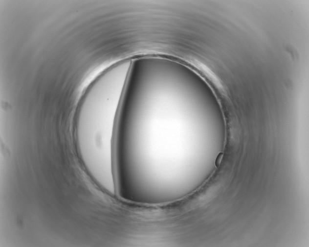 X0000091340885200708101017