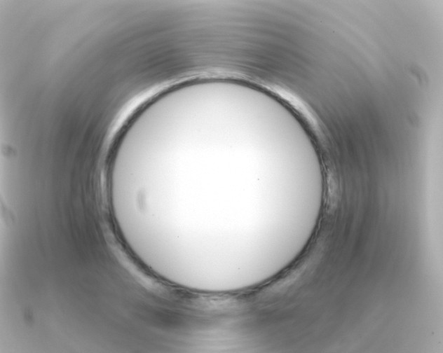 X0000091340886200708101017