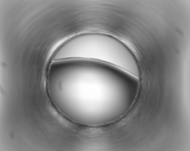 X0000091340888200708101017