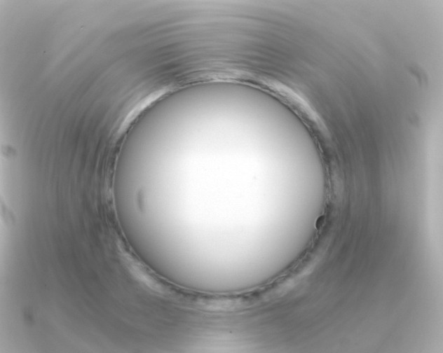 X0000091340889200708101017