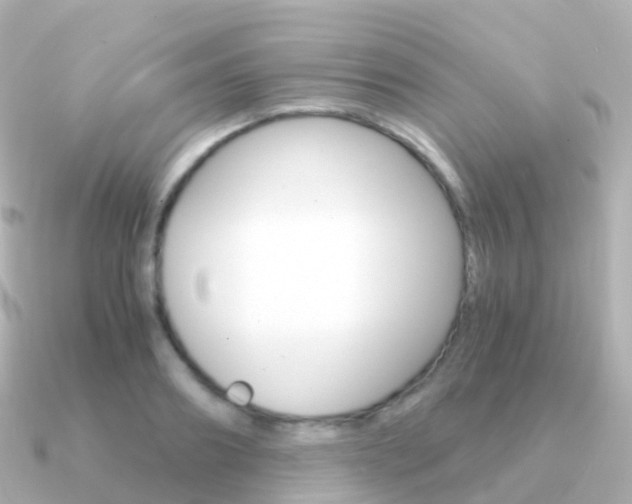 X0000091340890200708101017