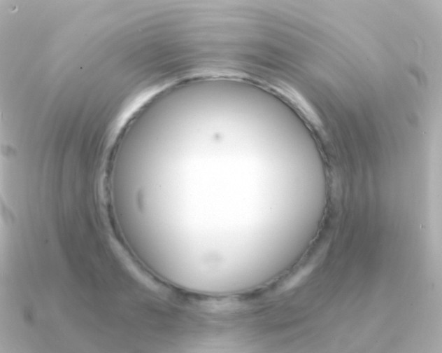 X0000091340893200708101017