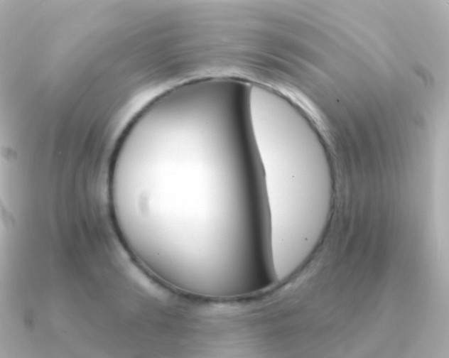 X0000091340894200708101017