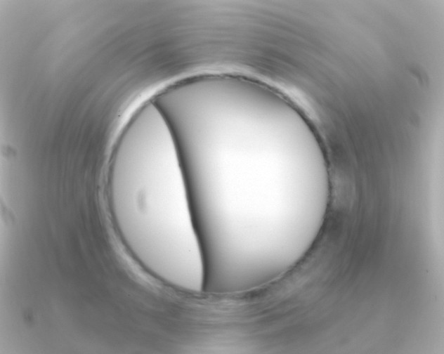 X0000091340895200708101017