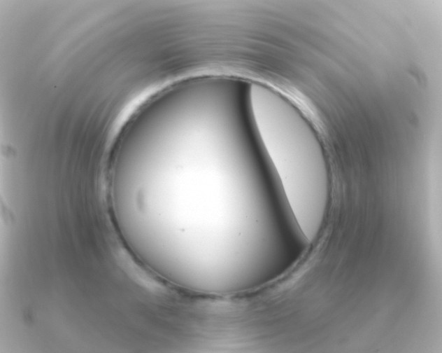 X0000091340896200708101017