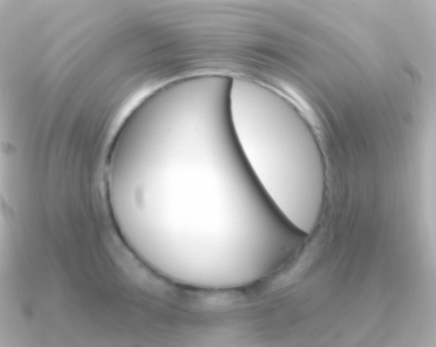 X0000091340899200708101017