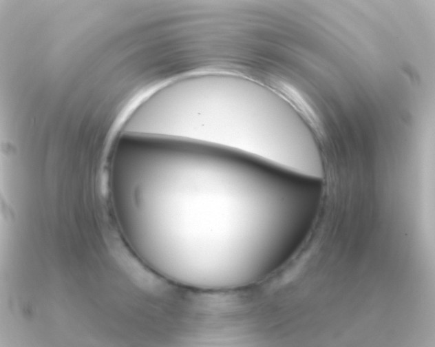X0000091340900200708101017