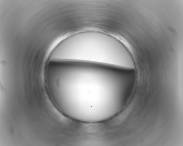 X0000091340902200708101017