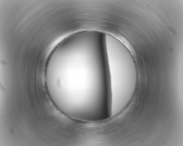 X0000091340904200708101017