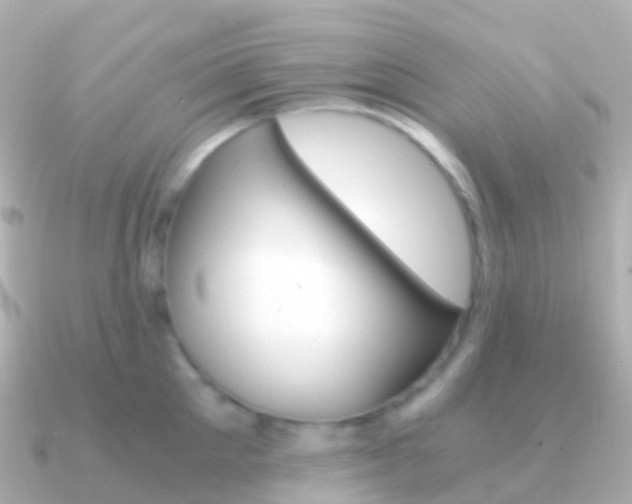 X0000091340905200708101017