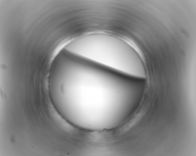 X0000091340906200708101017
