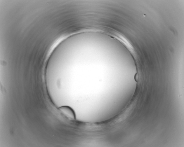 X0000091340907200708101017