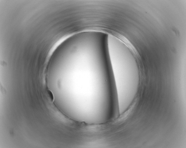 X0000091340908200708101017