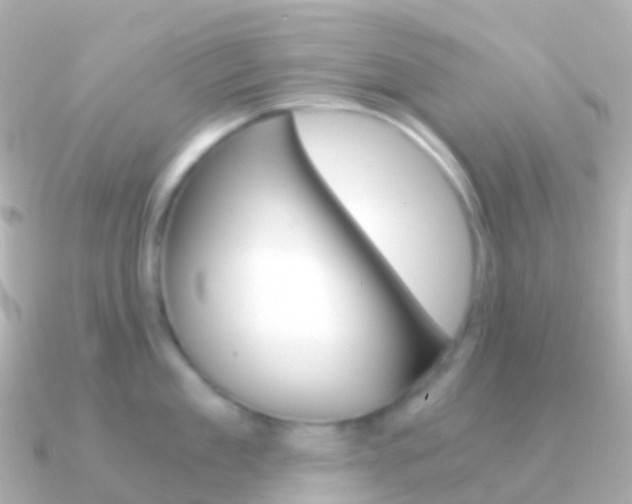 X0000091340909200708101017