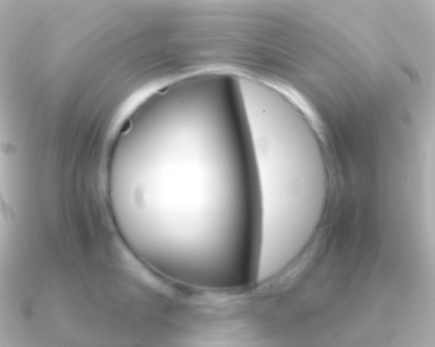 X0000091340910200708101017