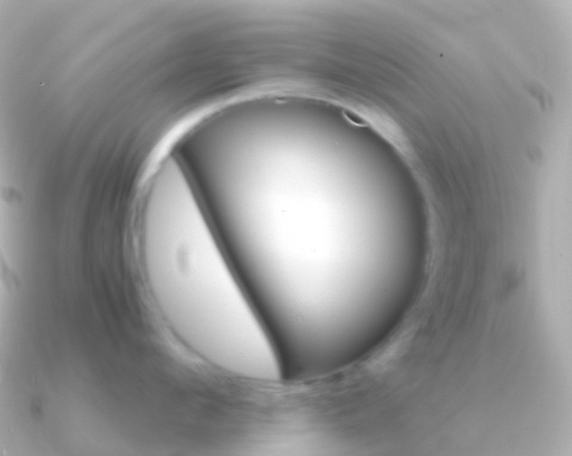 X0000091340912200708101017