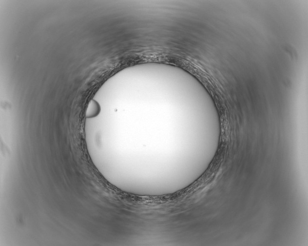X0000091340913200708101016