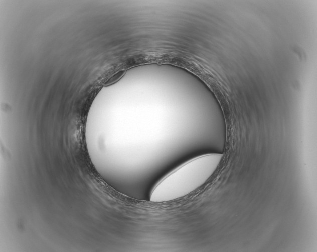 X0000091340914200708101016