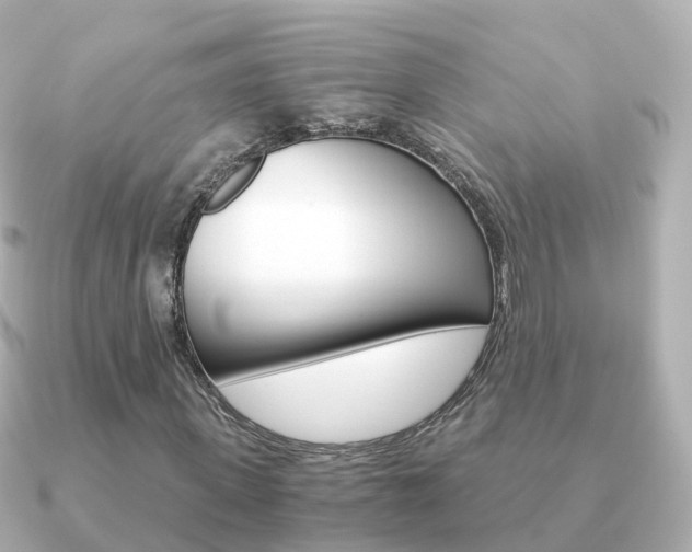 X0000091340915200708101016