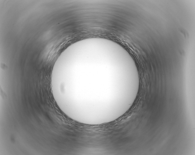 X0000091340916200708101016