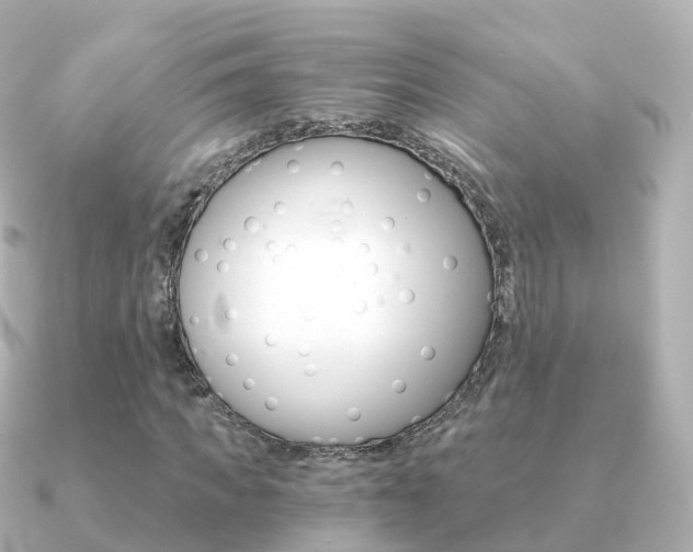 X0000091340917200708101016