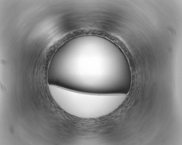 X0000091340919200708101016