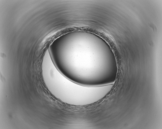 X0000091340920200708101016