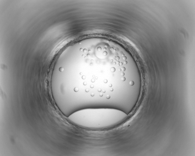 X0000091340921200708101016