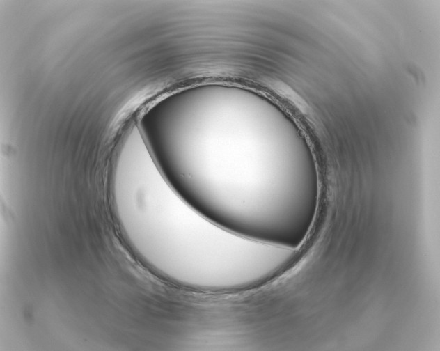 X0000091340922200708101016