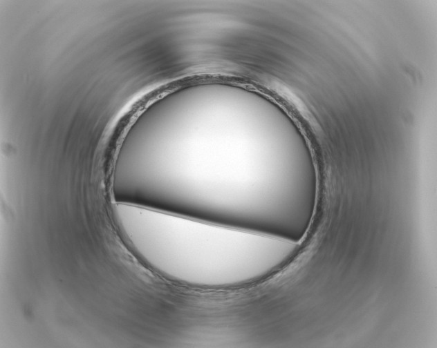 X0000091340923200708101016