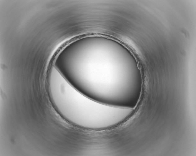 X0000091340924200708101016