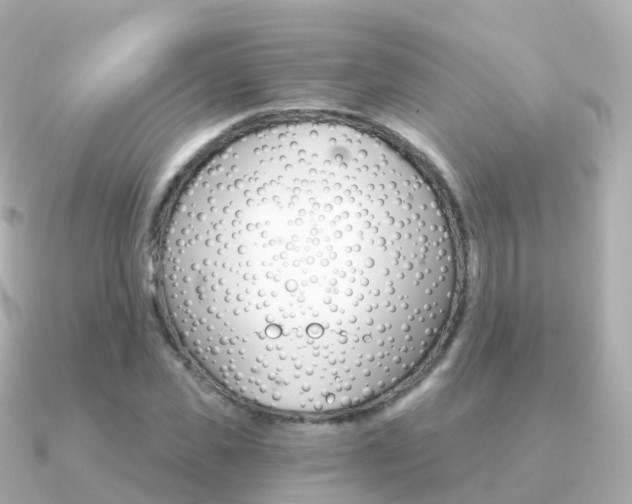 X0000091340925200708101016