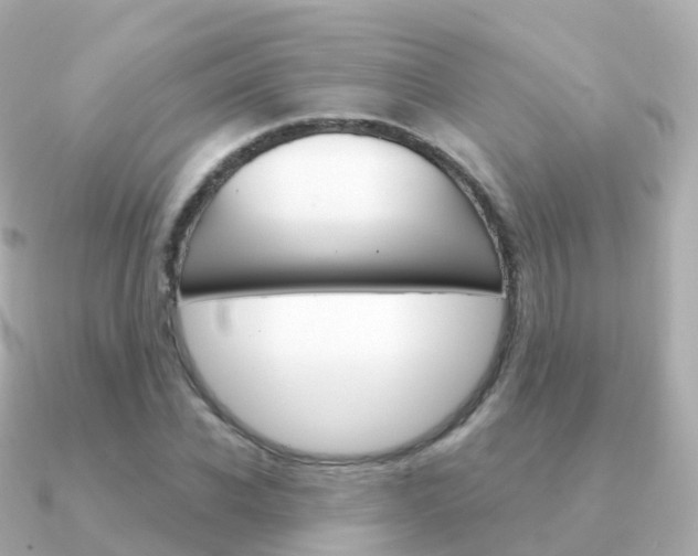 X0000091340926200708101017