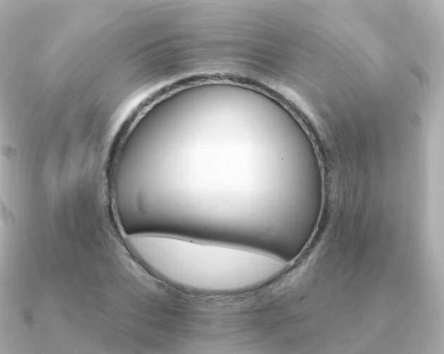 X0000091340927200708101017