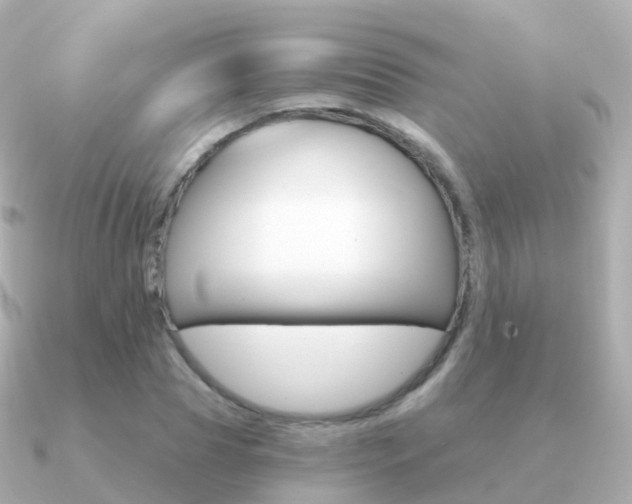 X0000091340929200708101017