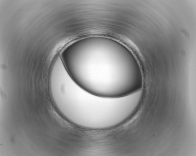 X0000091340930200708101017