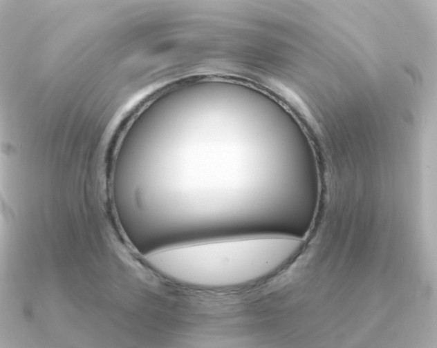X0000091340931200708101017