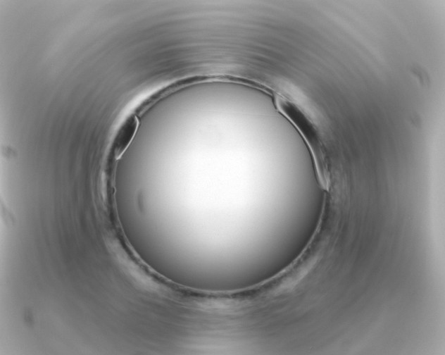 X0000091340932200708101017