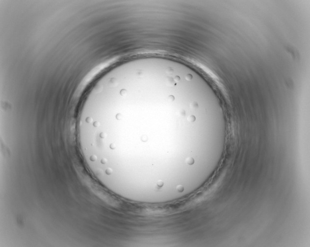 X0000091340933200708101017