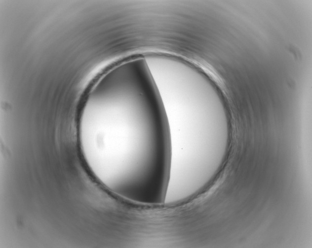 X0000091340934200708101017