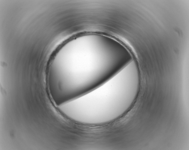 X0000091340935200708101017