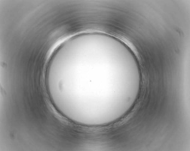 X0000091340936200708101017
