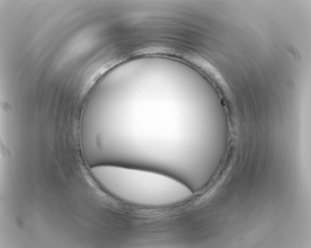 X0000091340937200708101017