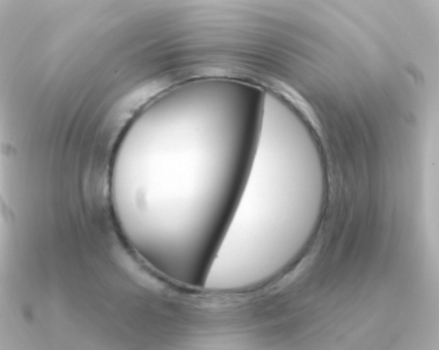 X0000091340938200708101017