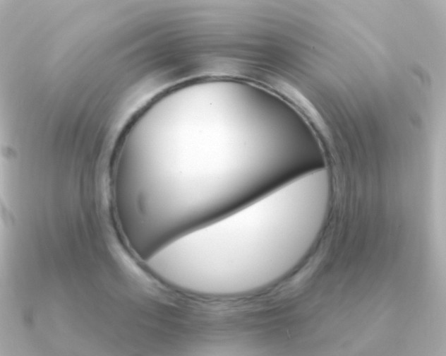 X0000091340939200708101017